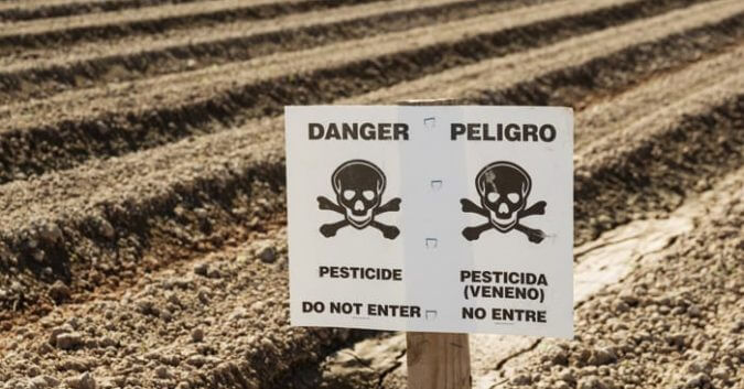 Jurors Deliver $2 Billion Verdict Against Bayer in Roundup Lawsuit