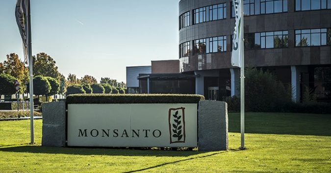 Did Certain Employees at the EPA Help Monsanto Cover Up Roundup®’s Health Hazards?