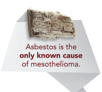 Banner that says Asbestos is the only known case of mesothelioma imagery.