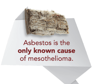 411 asbestos outlet