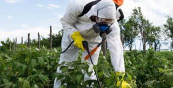 Roundup-Lawsuit Count Surges to 9,300 as Bayer Stock Continues to Fall