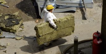 The New EPA Final Rule on Asbestos — 'A Complete Betrayal’