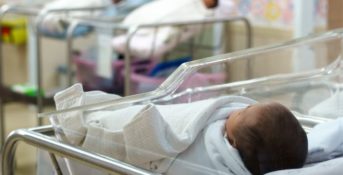Newborn at the hospital