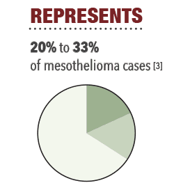 how mesothelioma affects the body