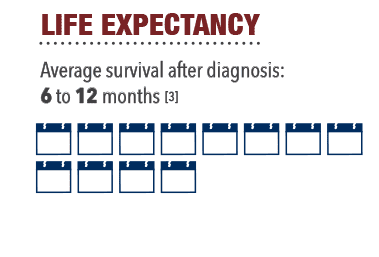 how mesothelioma affects the body