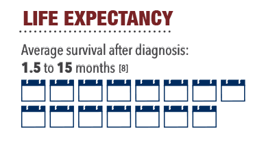 how mesothelioma affects the body