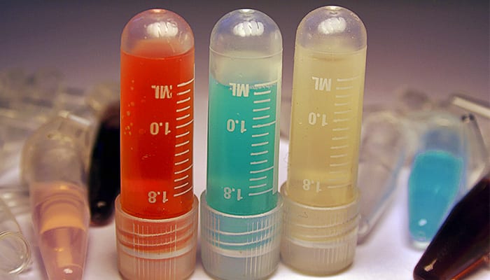 Mesothelioma and Immunotherapy: New Study Suggests Antibody Drugs Could Be an Effective Anti-Tumor Alternative