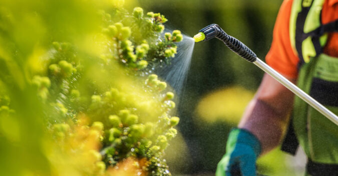 Weed-killer sprayed on plants