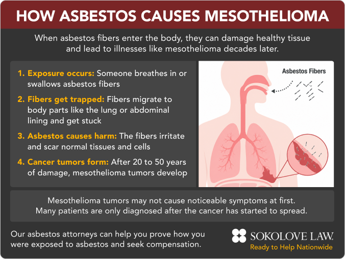 How Asbestos Exposure Causes Mesothelioma