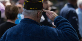 vietnam war veterans day